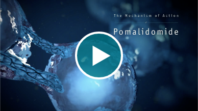 Watch a Video on POMALYST® (pomalidomide) MOA