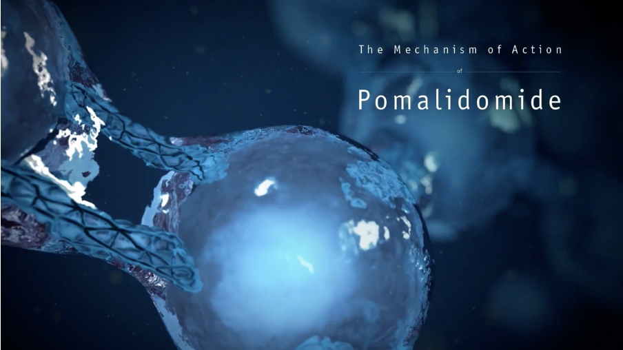 Watch a Video on POMALYST® (pomalidomide) MOA